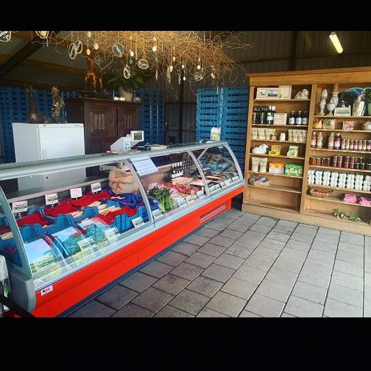 foto winkel nieuwe vitrine.jpg